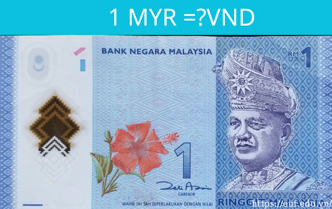 1 Ringgit Malaysia Bằng Bao Nhiêu Tiền Việt Nam