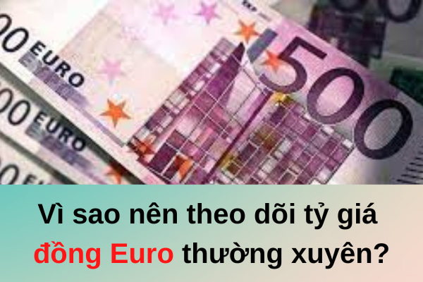 vi sao nen theo doi ty gia dong euro thuong xuyen