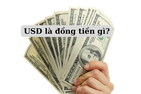 usd la dong tien gi