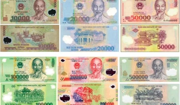 dac diem cua tien polymer viet nam