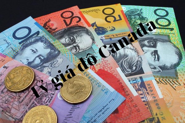 tien canada doi ra tien viet