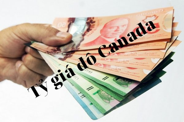ty gia canada cho den hom nay