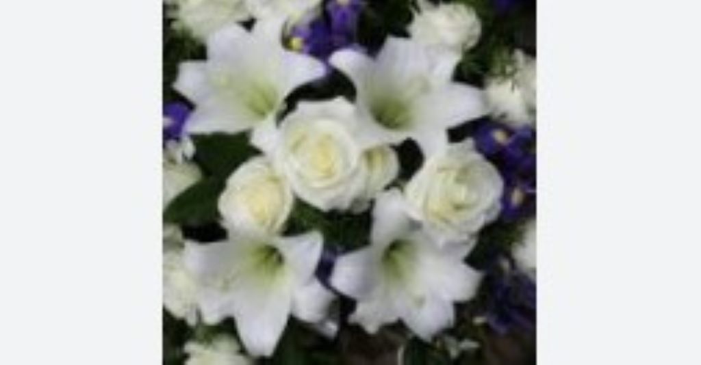 Sara Capozzo Obituary