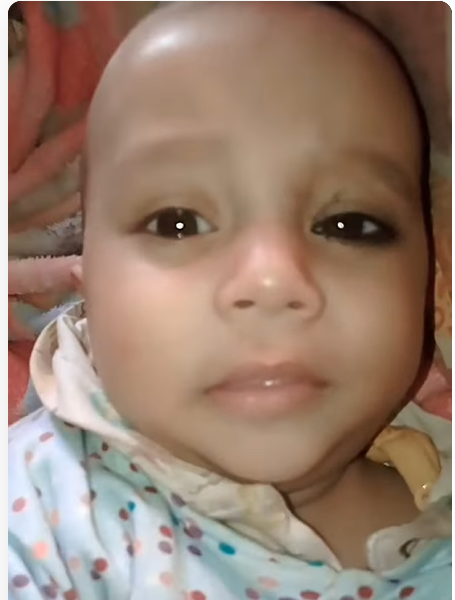 Baby Hamburger Viral Video