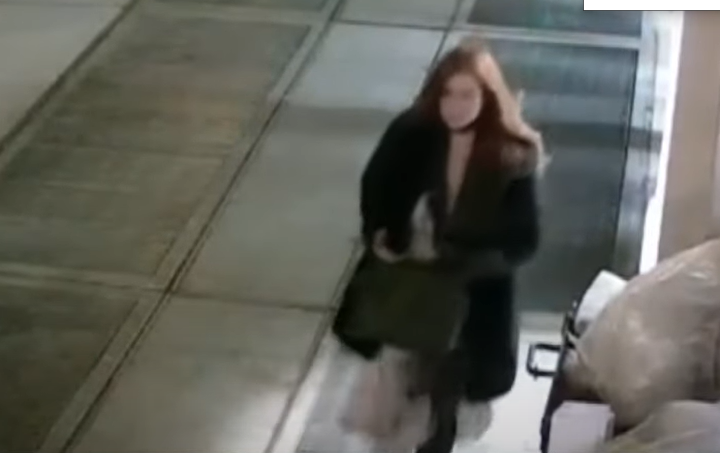 Lauren Pazienza Port Fefferson Video Shove Barbara Gustern On Reddit, Twitter Update