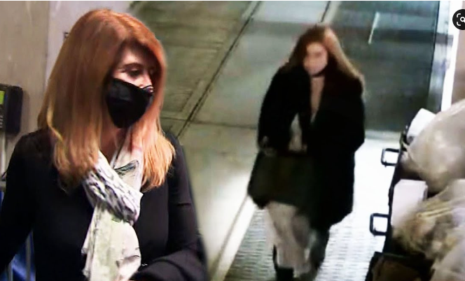 Lauren Pazienza Port Fefferson Video Shove Barbara Gustern On Reddit, Twitter Update