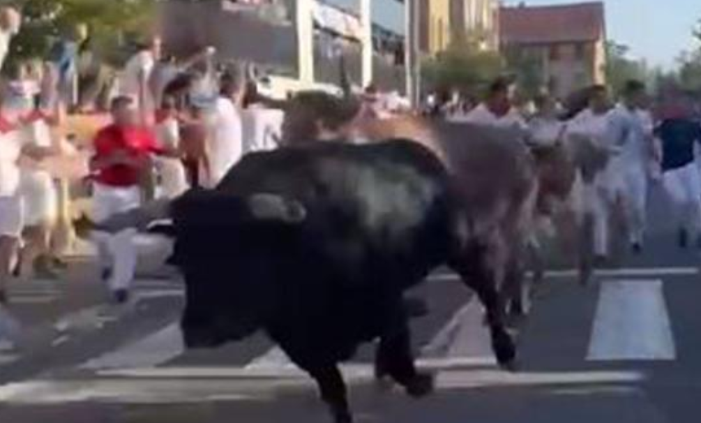 Video Completo del Encierro en Tafalla 2023