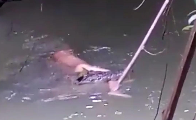 Original Link View Full Crocodile Attack India Reddit, Twitter