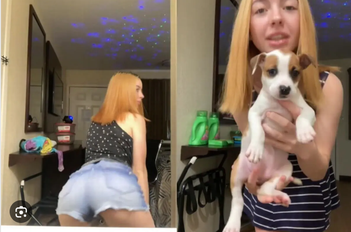 Denise Frazier Dog Video On Twitter, Reddit, Facebook, Telegram