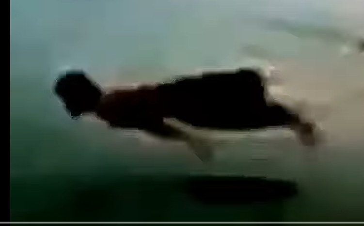 vidéo de l'accident de l'attelle faciale en 2009 sur Reddit, Twitter