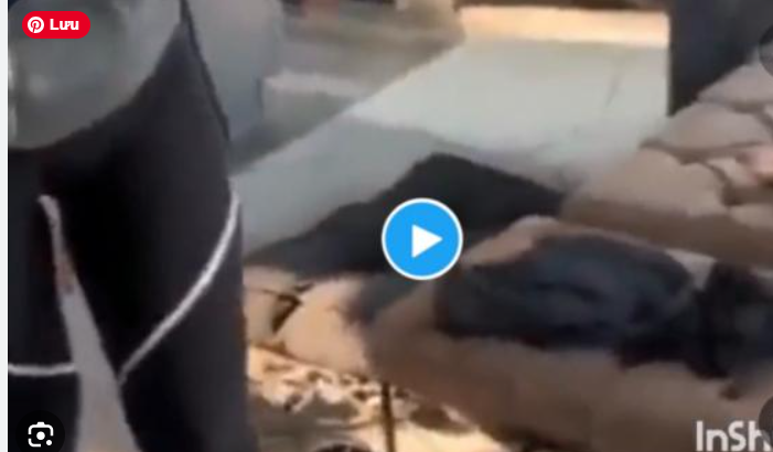 k4 mora video reddit