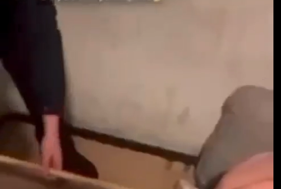 Clarisse Balai Lyon Vidéo Twitter, Reddit