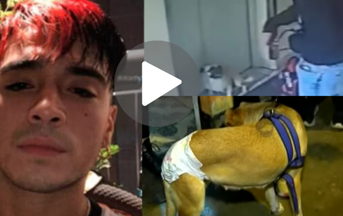 Dylan Santa Cruz Perro Video On Twitter, Reddit