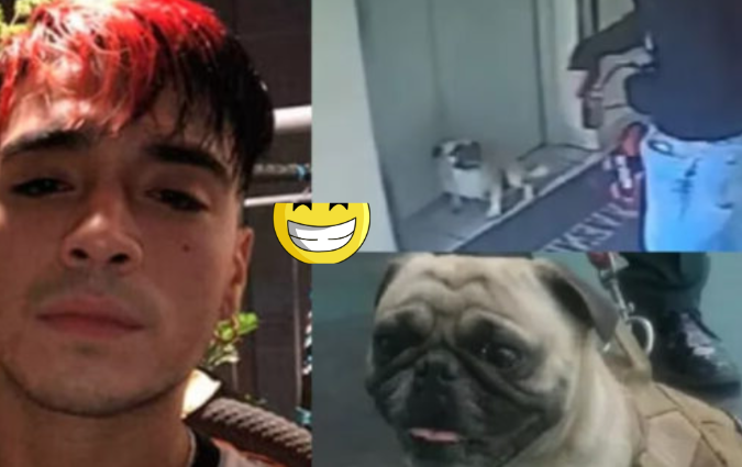 Dylan Santa Cruz Perro Video On Twitter, Reddit