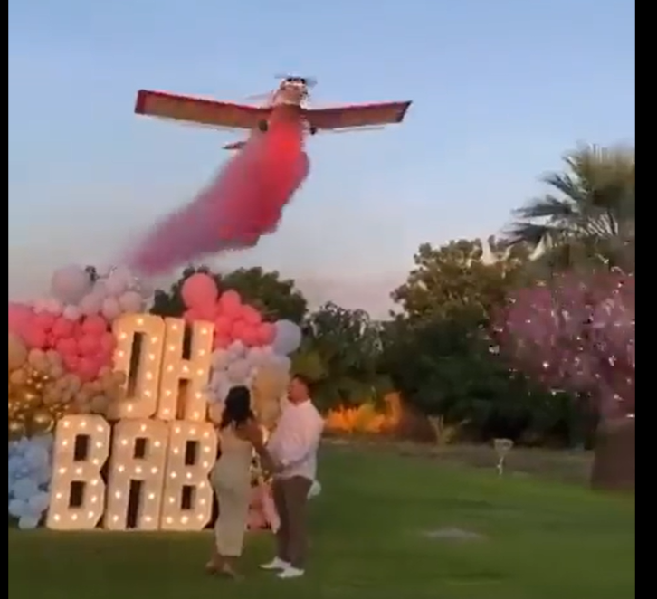 gender reveal plane crash video reddit