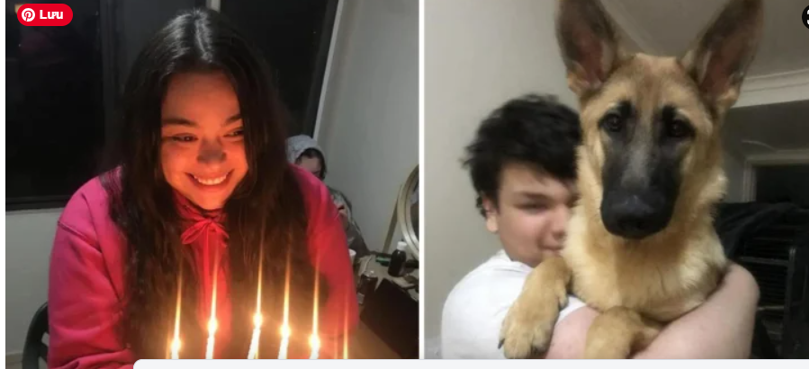 Heckenberg Crash Video