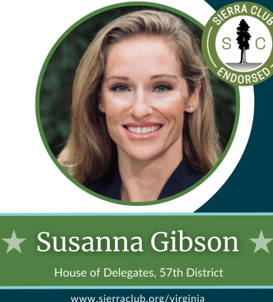 Susanna Gibson Video Leak on Reddit