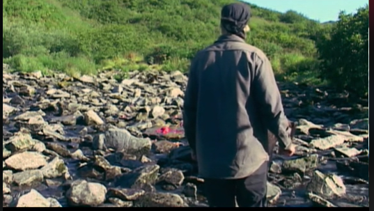 Timothy Treadwell's Viral Video: