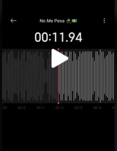 No Me Pises Pa Video Original: Unmasking the Cartel del Noreste’s Reign