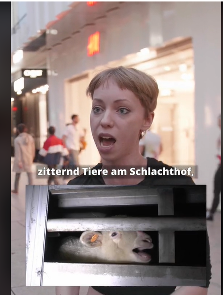 Militante Veganerin Auto Video