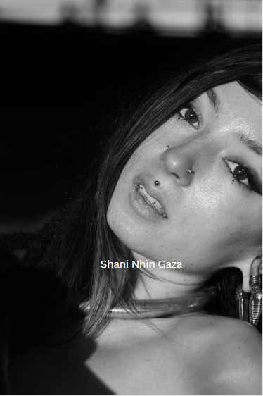 shani israel video camioneta twitter