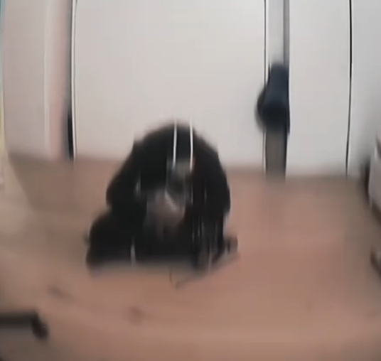 The Inquisitor Incident Screen Recording