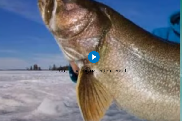Trout Lady Original Video Reddit