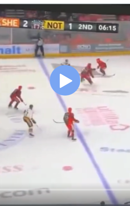 Video of Hockey Player Neck Injury