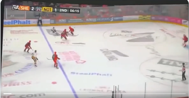 Video of Hockey Player Neck Injury