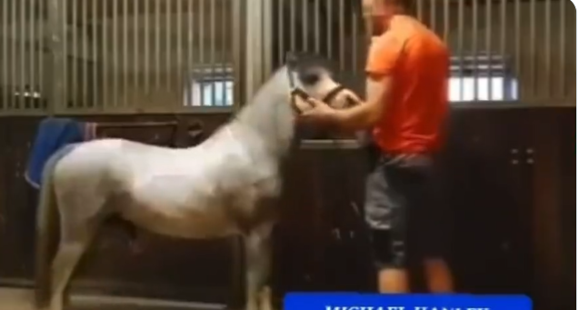 Michael Hanley Comfortable Carriage Dublin