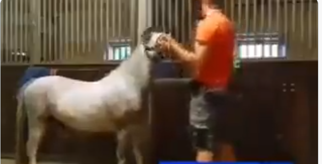 Michael Hanley Comfortable Carriage Dublin