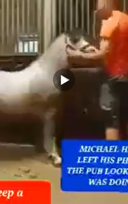 Original Michael Hanley Horse Video