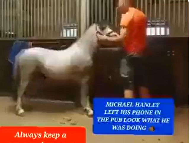 Original Michael Hanley Horse Video