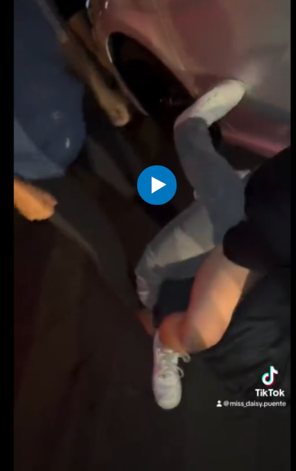 Josie and Gia Fight Video on Twitter