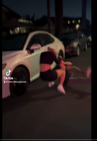 Josie and Gia Fight Video on Twitter