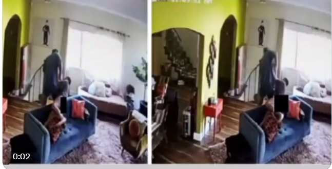 Keke Palmer Security Video