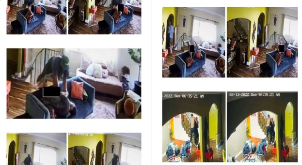 Keke Palmer Security Video