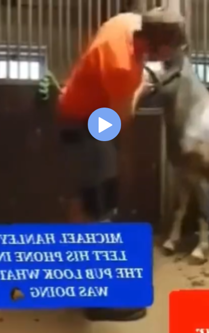 Michael Hanley Comfortable Carriage Dublin