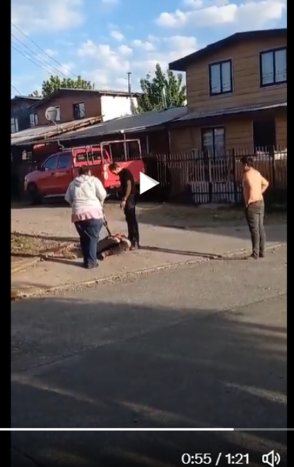 video san jose de la mariquina