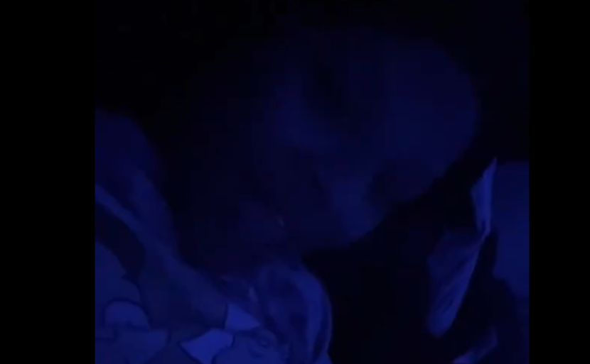 Im Finna Shut Your Mouth Video TikTok