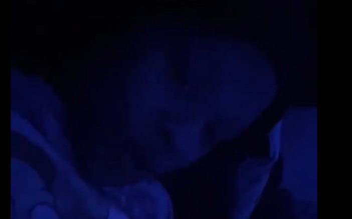 Im Finna Shut Your Mouth Video TikTok