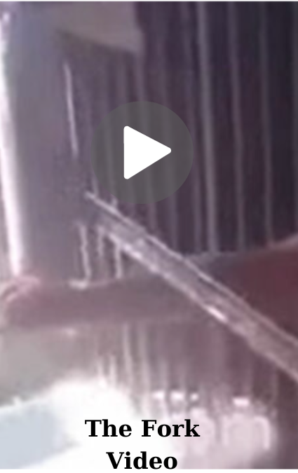 Jellyfish Arms Prison Jail Video