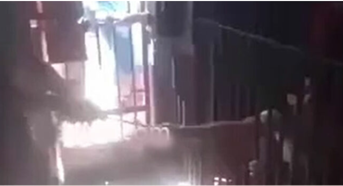 Jellyfish Arms Prison Jail Video