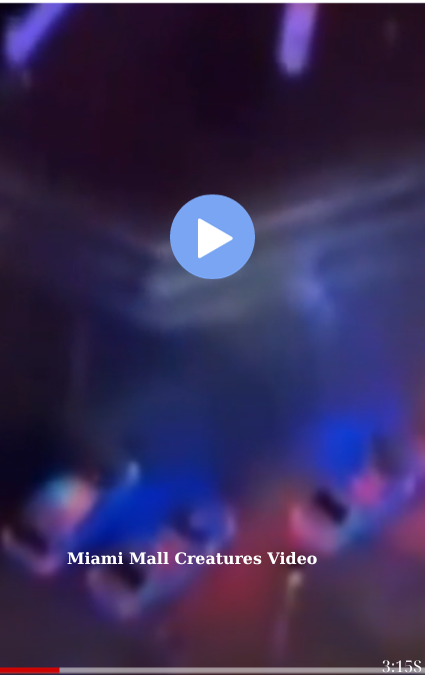 Miami Mall Creatures Video