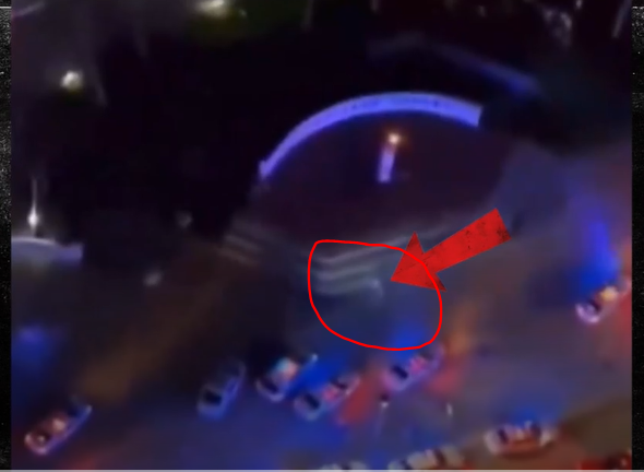 Miami Mall Creatures Video