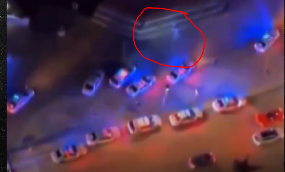 Miami Mall Creatures Video