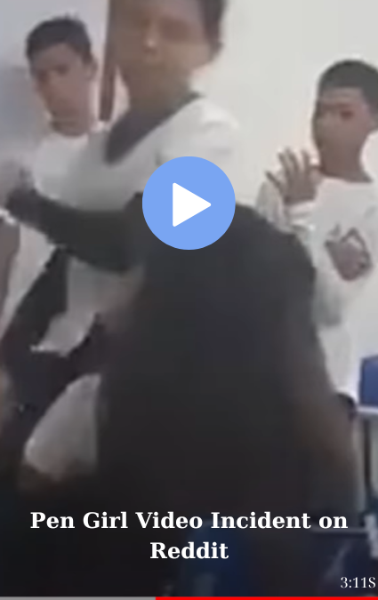 Pen Girl Video Incident on Reddit