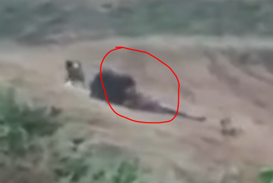 Prabhu Bhatara oso video original