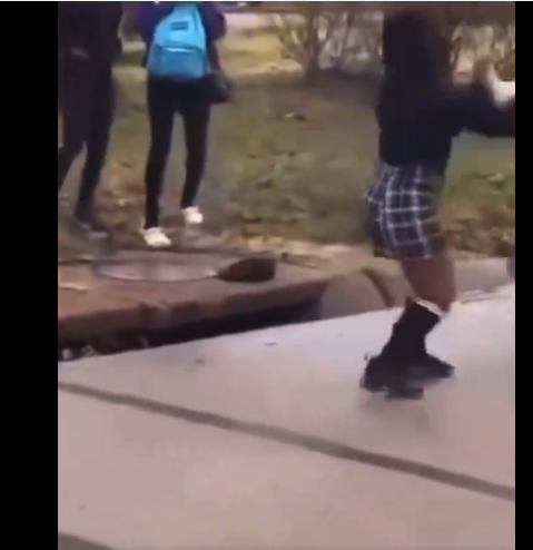 Kaylee Gain Fight Video Goes Viral on Twitter