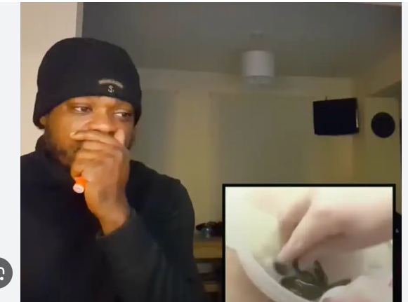 sopa de anguilas video twitter